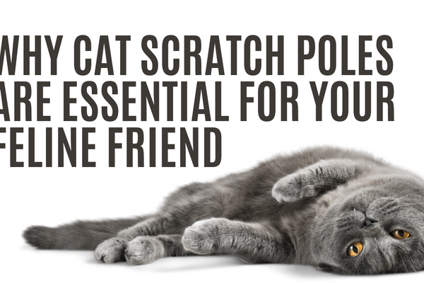 Why Cat Scratch Poles Are Essential for Your Feline Friend