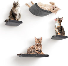 Wall Mounted Cat Shelves (Set of 4) by  - 100% Sustainable PET Felt Feline Enrichment Climber Furniture for Small & Large Indoor Cats, Modern Climbing Gym Jungle Design (Charcoal)