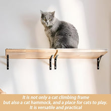 Cat Wall Mounted Shelf with Mat, Wooden Cat Perches, Cat Kitten Activity Climbing Steps for Lounging Climbing Playing Scratching Sleeping Perching