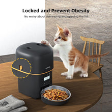 Automatic Cat Feeders