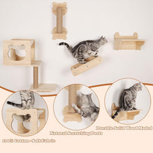 Cat Wall Furniture Shelves and Perches, 6 PCS Wall Mounted Cat Climber Set Cat Furnitures - Natural Wood Cat Shelf with Cat House, Cat Hammock, Cat Shelves, Climbing Steps, Cat Scratching Post