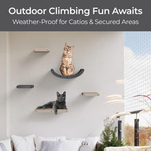 Wall Mounted Cat Shelves (Set of 4) by  - 100% Sustainable PET Felt Feline Enrichment Climber Furniture for Small & Large Indoor Cats, Modern Climbing Gym Jungle Design (Charcoal)