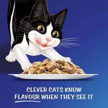 Felix As Good As It Looks, Adult Favourite Selection Wet Cat Food, 5 Cartons Each 12X85g