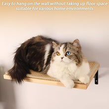 Cat Wall Mounted Shelf with Mat, Wooden Cat Perches, Cat Kitten Activity Climbing Steps for Lounging Climbing Playing Scratching Sleeping Perching