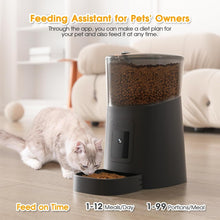 Pet Feeder,1080P HD Wifi 6L Automatic Cat Feeder 110°Angle Adjustable with Night Vision