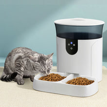 Kitty Kingdom  Automatic Pet Feeder Dog Cat Wifi 7L Auto Smart Food Dispenser Timer Feed