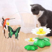 Electric Butterfly Cat Teaser Toy - Automatic Rotating Fun