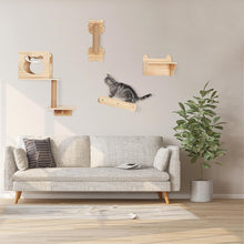 Cat Wall Furniture Shelves and Perches, 6 PCS Wall Mounted Cat Climber Set Cat Furnitures - Natural Wood Cat Shelf with Cat House, Cat Hammock, Cat Shelves, Climbing Steps, Cat Scratching Post