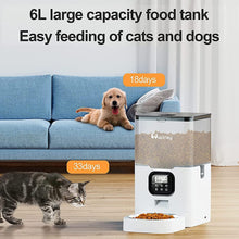 Automatic Pet Feeder 6L