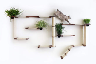 Cat Mod Garden Complex Handcrafted Wall Mounted Cat Tree Shelves with Planter for Cat Grass, Onyx/Natural, One Size